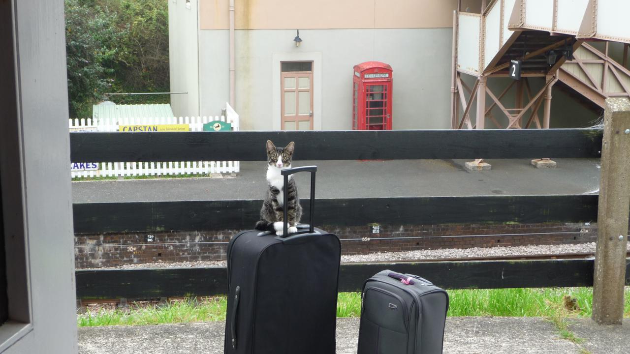 The Station Guest House Galmpton 외부 사진